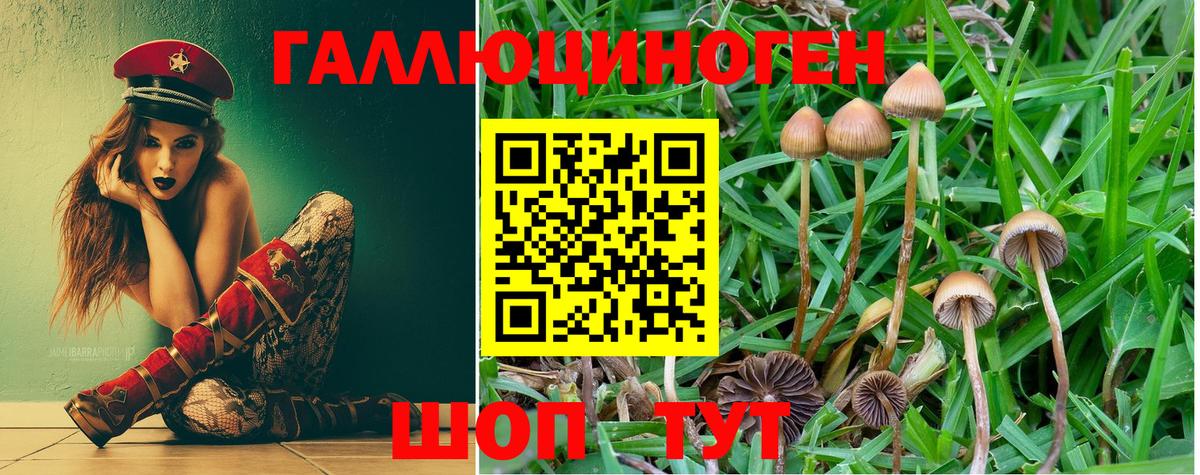 Минусинск  Галлюциногенные грибы ЛСД  Вход с VPN  Галлюциногенные грибы Psilocybine cubensis 