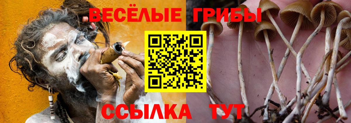 Галлюциногенные грибы ЛСД Минусинск